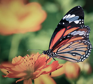无损数据迁移的短信验证码轰炸网址免费