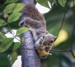 无限拨打短信软件